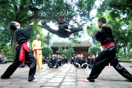 4th International festival of Vietnamese traditional martial arts - ảnh 1